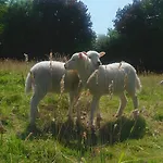 Lueke Vakantiehuis *