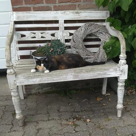 Lueke Wesselburener Deichhausen